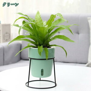 777~OFFN[| t[X^h ԑ  {[v^[X^h ACA O  񂹐A K[fjOG  X^h v^[ ԑ䃉bN X^h ˑ  k