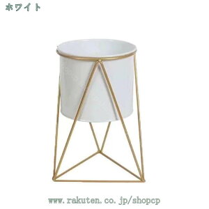 1000~OFFN[| t[X^h  ACA v^[X^h v^[bN AeB[N K[fjOpi |bN ԑ  K[f  t[bN AؔX