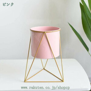 1000~OFFN[| t[X^h  ACA v^[X^h v^[bN AeB[N K[fjOpi |bN ԑ  K[f  t[bN AؔX