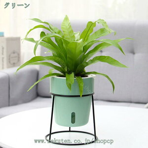 777~OFFN[| |bg X^h t[X^h ϗtA k {[v^[X^h ACA X`[ u Jo[ v^[X^h bN  ԑ AI  K