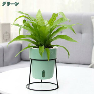 300~OFFN[| {[v^[X^h ubNK[fjOpi K[fjO | A ͔|  x_ ƒ A  ӏ ԑ t[X^h R[i[ [  CeA 