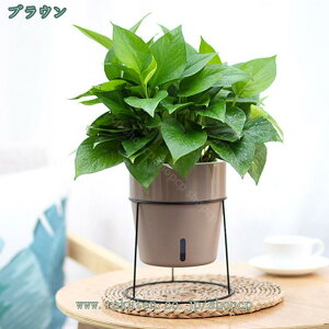 777~OFFN[| t[X^h ACA  fR[VX^h k K[fjO ԑ v^[  O I |bN K[fbN V u ϗtA o