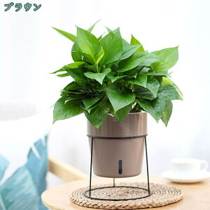 t[X^h ACA  fR[VX^h K[fjO ԑ v^[  O I |bN K[fbN V | u 񂹐A A ~ Ae