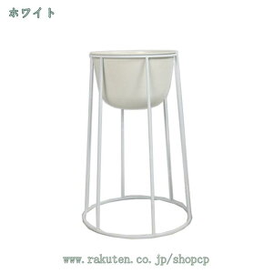 t[X^h ACA  fR[VX^h K[fjO ԑ v^[  O I |bN K[fbN V | u ϗtA oRj[ x_ 