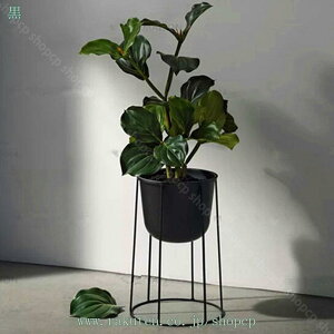 1000~OFFN[| t[X^h ACA  fR[VX^h K[fjO ԑ v^[  O I |bN K[fbN V | u ϗtA o