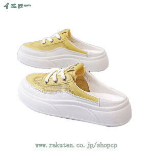 500~OFFN[| ~[ T{  _炩 Xb| Xj[J[ T{T_   傫TCY ƂȂ y Xbp LC U ʋ EhgD ₷ 