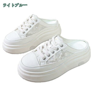 300~OFFN[| Xj[J[ fB[X Xb| ƂȂ Xj[J[  T_ V[Y JWAV[Y y EHLOV[Y ʋC 5CM EȒP Ȃ 