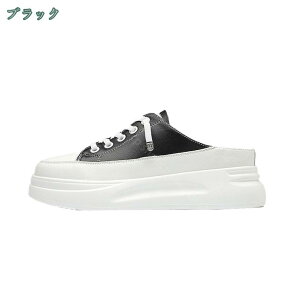 800~OFFN[| Xj[J[ fB[X 4CM Ȃ ƂȂ EH[LOV[Y [XAbv ₷ r ʋ ʊw Xb|  JWA q ItBX o 