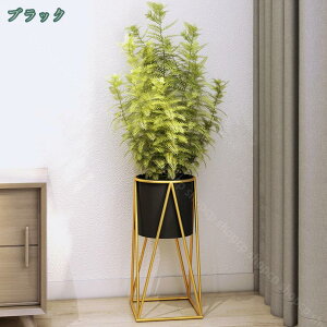 1000~OFFN[| t[X^h ԑ v^[X^h t[  X^h  Aؔ u ACA  X   ϗt A |bg  u ԕr ϗtA 