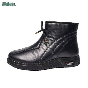 Xm[u[c fB[X y N hC h h RtH[gV[Y  p V[gu[c ~p ʊw ʋ EB^[ fB[Xu[c C n t@[t  