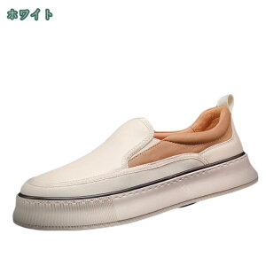 [t@[ XbvI hCrOV[Y Y C fbLV[Y y JV C JWAV[Y ₷  amC RtH[gV[Y [JbgXj[J