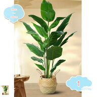 500円OFFクーポン フェイクグリーン 人工観葉植物 リアル 大型 室内外対応 鉢植え 水やり不要 お手入れ簡…