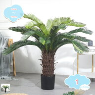 1000円OFFクーポン フェイクグリーン 大型 ソテツ植物 人工観葉植物 リアル 観葉樹 フェイクツリー 観賞…