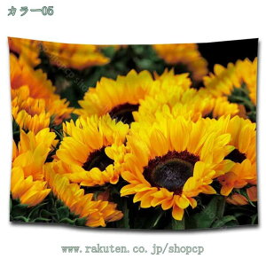 777~OFFN[| k |X^[  Ǌ| Ǐ EH[fR CeA  Ǖz 唻z Ԏd؂ Bewi t@ubN|X^[ ȒP Vv i` _  C