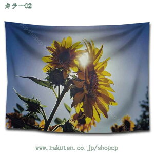 777~OFFN[| k |X^[  Ǌ| Ǐ EH[fR CeA  Ǖz 唻z Ԏd؂ Bewi t@ubN|X^[ ȒP Vv i` _  C