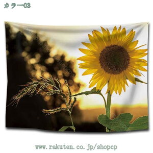 300~OFFN[| k |X^[  Ǌ| Ǐ EH[fR CeA  Ǖz 唻z Ԏd؂ Bewi t@ubN|X^[ ȒP Vv i` _  C