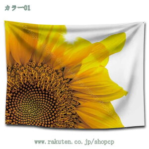 k |X^[  Ǌ| Ǐ EH[fR CeA  Ǖz 唻z Ԏd؂ Bewi t@ubN|X^[ ȒP Vv i` _  CX^f ͗l