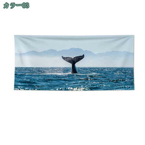 1000~OFFN[| ^yXg[ CeA A[g|X^[ rfIc wi _A[g tH[ \t@[Jo[  |GXe ͗lւ _ J[e  Ǌ| 