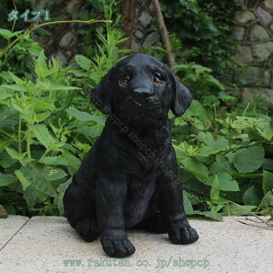 1000~OFFN[| k G u  i CeAG IuWF hbO G K[fjO ɒu fBXvC IVȒu ̃f {  O