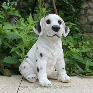 1000~OFFN[| k G u  i CeAG IuWF hbO G K[fjO ɒu fBXvC IVȒu ̃f {  O