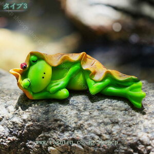 777~OFFN[|  u  }CNi JGIuWF IuWF ̏  JG K[fI[ig  K[f IuWF u A 蕨  C