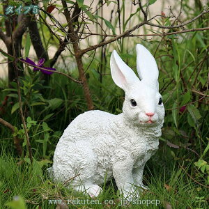 K[fI[ig  킢 u  I[ig IuWF CeAG 2CZbg i u A ETM̒ ގ CeA ͋Co