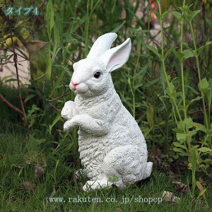 300~OFFN[| K[fI[ig  킢 u  I[ig IuWF CeAG 2CZbg i u A ETM̒ ގ Ce