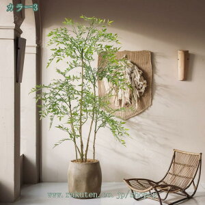 観葉植物 180cm 大型」の人気商品一覧 | 安い商品を通販サイトから探す 