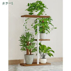 1000~OFFN[| t[X^h ACA ԑ 3-8i   O  x_ X  u |bN K[fjObN v^[ |bg K[fbN v^