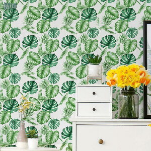 300~OFFN[| h ǎ V[ ̂t k CNV[g n ͂  ǎV[g EH[XebJ[  tH[V[g ǎ JbeBOV[g DIY t