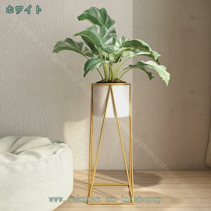 2000~OFFN[| t[X^h ԑ v^[X^h t[  X^h  Aؔ |bg  u ԕr ϗtA bN  CeA G ˑ  k u  O 