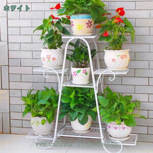 1000~OFFN[| ԑ t[X^h ACA 3i v^[X^h A X^h |bN t[bN ԑ AI ~͒I K[fbN O  ԒI AX^h 