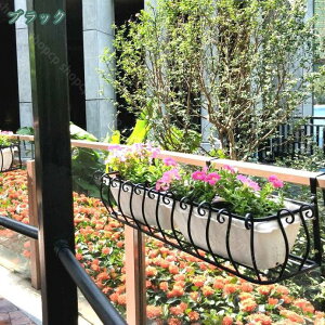 1000~OFFN[| Ǌ|t[oRj[ ԑ X^h v^[X^h AeB[N ACA u v^[`FA O   K[fbN v^[bN v^[