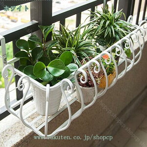 1000~OFFN[| Ǌ|t[oRj[ STCY ԑ X^h v^[X^h AeB[N ACA u v^[`FA O   K[fbN v^[bN v