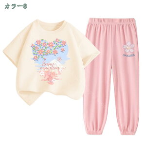 300~OFFN[| ZbgAbv LbY Z q ̎q j̎q  Opc   xr[ tH W[W ㉺Zbg X|[c gbvX {gX WjA Y{ ^