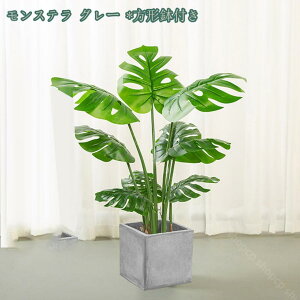 1650~OFFN[| lHϗtA 傫 ^ ډB Ԏd؂ K[fjOtFX V~[V Op Ηt p[eBV Ԏd؂ d؂ yɎd؂ z[ ItBX 