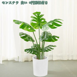 1000~OFFN[| lHϗtA 傫 ^ ډB Ԏd؂ K[fjOtFX V~[V Op Ηt p[eBV Ԏd؂ d؂ yɎd؂ z[ ItBX 