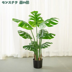 1650~OFFN[| lHϗtA 傫 ^ ډB Ԏd؂ K[fjOtFX V~[V Op Ηt p[eBV Ԏd؂ d؂ yɎd؂ z[ ItBX 