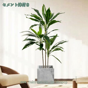 3500~OFFN[| lHϗtA ^ lHϗt ϋv lHA tFCNO[ gsJA V~[Vc[   O z[ ItBX K[f Ƃ̌ rO[