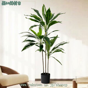 tFCNO[ 傫 lHϗtA lHϗtA CeA  ItBX  vX`bN   ϗtA A V~[V e[ufR[V j ^ l