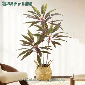 2000~OFFN[| lH ϗtA tFCNO[ ډB lHϗtA A lHϗtA tFCNO[ ^  CeA  O tFCNA sv ͂Ȃ lH