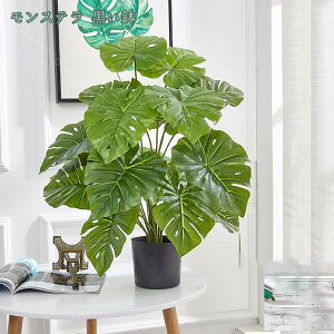 1000~OFFN[| tFCNO[ lHϗtA ^ ϗt CeA ͎Os ȒP   ƒ Lb` rO _CjO Q 悯oRj[ Iȑ z