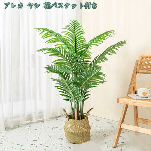 1000~OFFN[| lHϗtA tFCNO[ ډB ͗lւ ϗA lHϗt Vv ItBX  CeA ^   lHϗtA j ̓  j j J