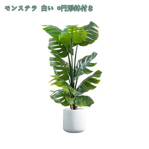 2000~OFFN[| lHϗtA tFCNO[ 傫 CeA  ItBX rO ΂̂炵 CeAO[ ϗtA A zj Vzj ȒP 