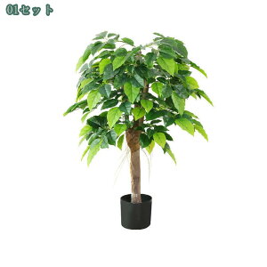 lHϗtA tFCNO[ lHϗtA A ^ aɂ { ̂Ȃ tFCNO[ 傫  CeA AtFCN  ItBX 