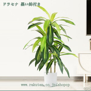 1000~OFFN[| tFCNO[ lHϗtA ^  Iȑ ȒP sv Q쏜sv lHϗtA gsJA st  ƒ 悯oRj[   c