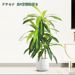 1000~OFFN[| tFCNO[ 傫 ^ lHϗtA ډB ͗lւ  CeA rO  ItBX G  X GgX c ItBX ze 
