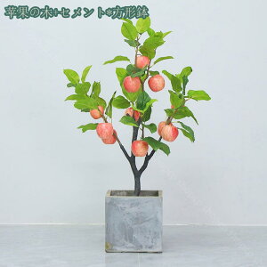 2000~OFFN[| ԉʎ lHϗtA ϗt ^ ډB l X GgX c ItBX rO Q  q  tFCNO[ ze j JXj JƏj 