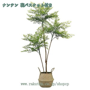 3500~OFFN[| lHϗtA Ύ ie ډB ^ lHϗtA A CeA ϗtA tFCNO[ rO  p 邭u₩ tFCNO[ st g