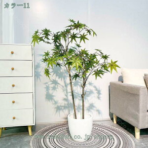 1000~OFFN[| lHϗtA tFCNO[ _ ItBX X  [̑p CeA  sv ͂Ȃ A b炸 z[fR[V p